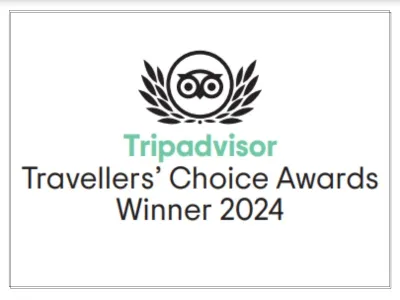 TripAdvisor Reviews