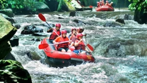 Ubud Transport