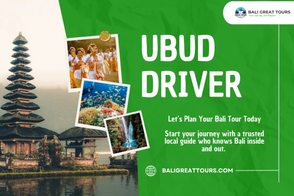 Ubud Driver